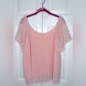 Mi Ami (Francesca's) XL Sheer Top